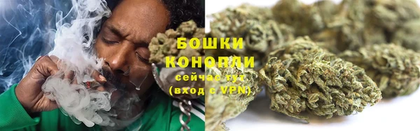 прущие крисы Ельня