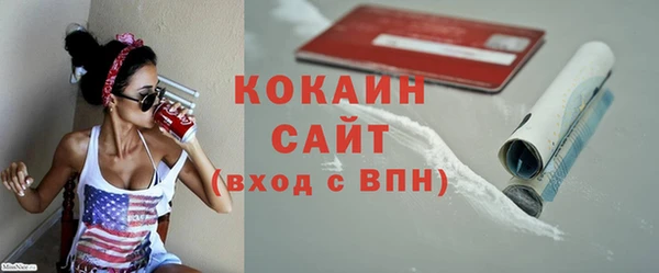 прущие крисы Ельня