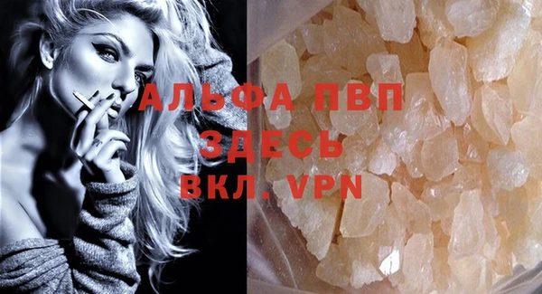 прущие крисы Ельня