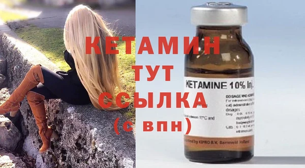 прущие крисы Ельня