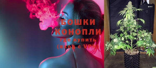 2c-b Елабуга