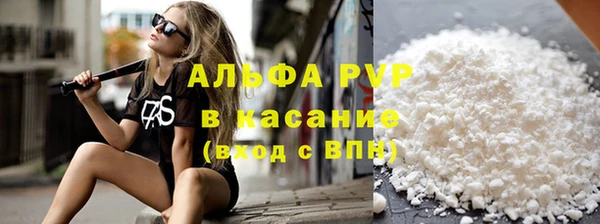 прущие крисы Ельня