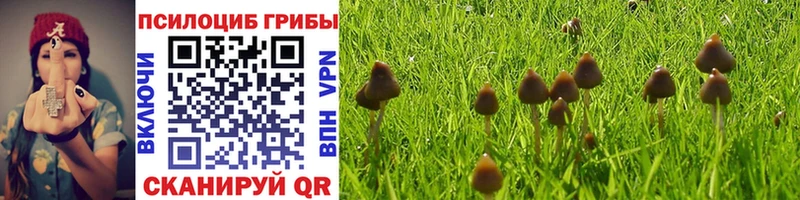 Галлюциногенные грибы мицелий  Купить закладки  Камбарка 